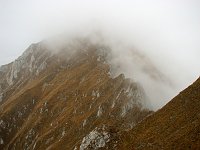 Sul Monte Cavallo con nebbia...e camosci (18 ott. 08)   - FOTOGALLERY